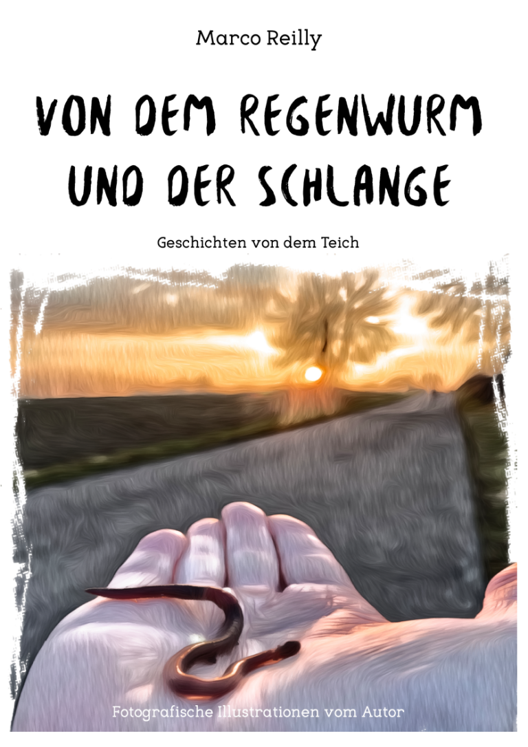 Von der Hummelkönigin und dem Wasserläufer