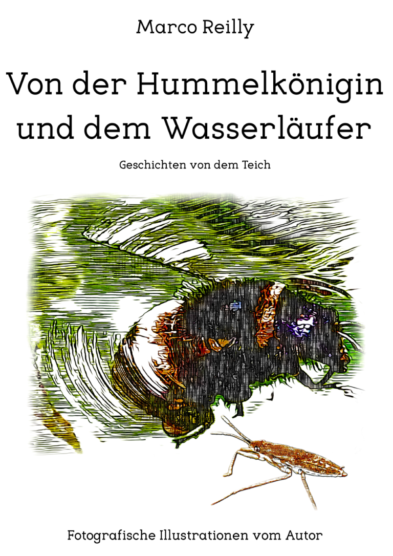 Von der Hummelkönigin und dem Wasserläufer